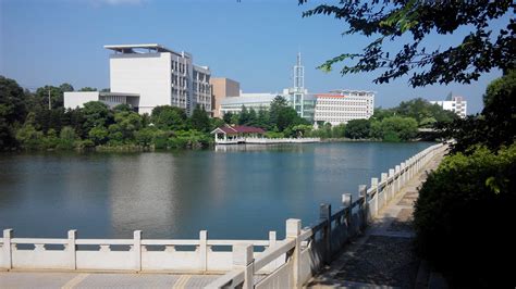 广东开放大学2024年新增专业公示-广东开放大学