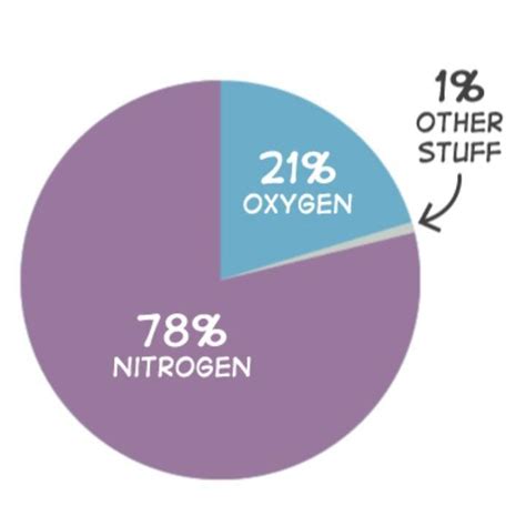 What is the relative proportion of nitrogen and oxygen in the air ...