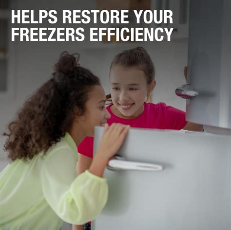 Image result for Freezer Defroster