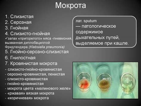 Мокрота желтая: Что значит цвет мокроты при кашле? - МУНИЦИПАЛЬНОЕ ...