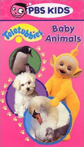 Buy Teletubbies - Baby Animals VHS Online at desertcartINDIA