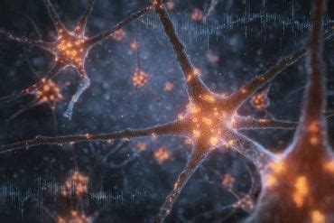 Astrocytes Take the Lead: Hidden Stars of Brain Rhythms Revealed - Neuroscience News