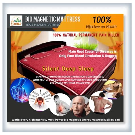 Bio Mangentic Therapy