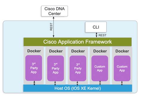 Cisco DNA Application 的图像结果