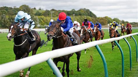 Island Falcon swoops to Nottingham glory as Godolphin team land Golden ...