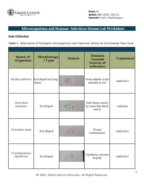 1BIO 205L RS Microorg Human Infectious Diseases WS Online Tradonline ...