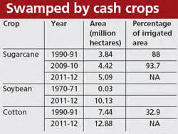 Indigenous people in India and the web of indifference
