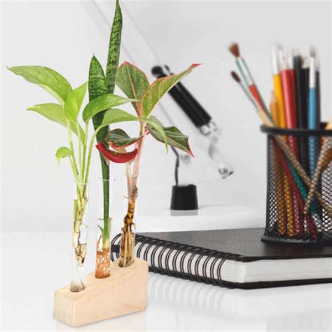 Test Tube Planter – Gardencia Technology