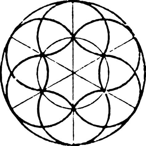 Image result for Radial Design Vector