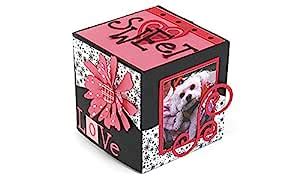 Sizzix Bigz XL BIGkick/Big Shot Die, Box Cube 35/8-Inch : Amazon.in ...