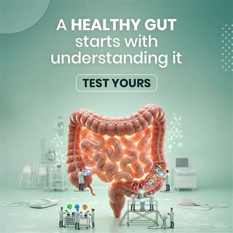 Sova Health - Microbiome based testing, coaching & supplements