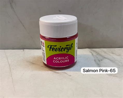 15ml Fevicryl Acrylic Colours Salmon Pink. - 9764 – KnowHowArtCraft