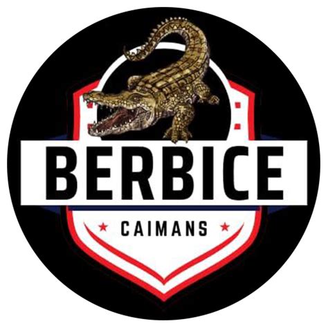 BRBC vs DMP scorecard updated, 2nd Semi-Final, Guyana T10 Blast, 2024