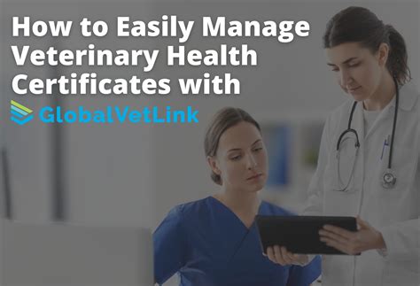 Easily Manage Veterinary Health Certificates | GlobalVetLink