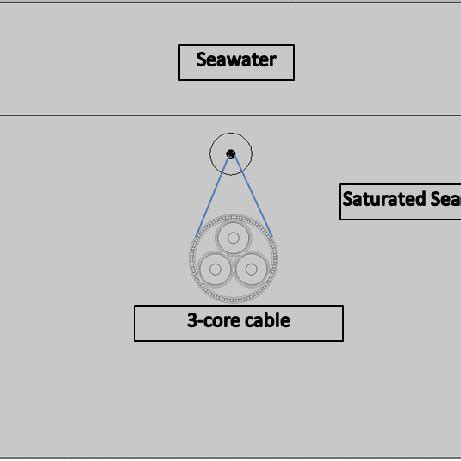 Cord Computer Simulation 的图像结果