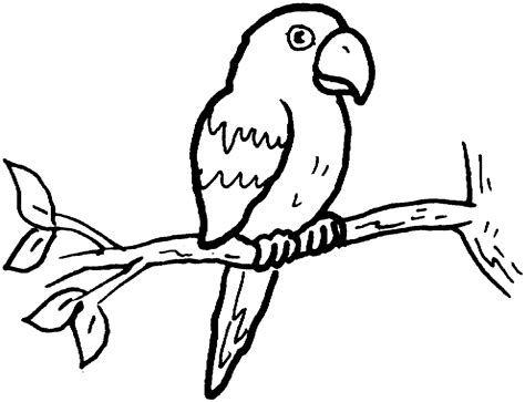 Image result for Parrot Coloring Pages
