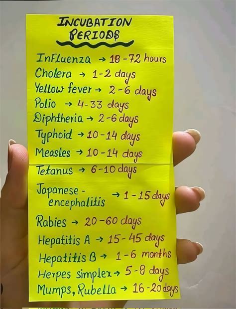𝗜𝗡𝗙𝗘𝗖𝗧𝗜𝗢𝗨𝗦 𝗗𝗜𝗦𝗘𝗔𝗦𝗘 𝗜𝗡𝗖𝗨𝗕𝗔𝗧𝗜𝗢𝗡 𝗣𝗘𝗥𝗜𝗢𝗗 1. Influenza (Flu) 🔴 Incubation ...