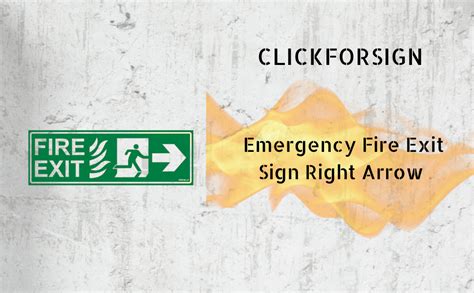 Clickforsign FES-1-M-1-2x Glow in The Dark Emergency Fire Exit Sign ...