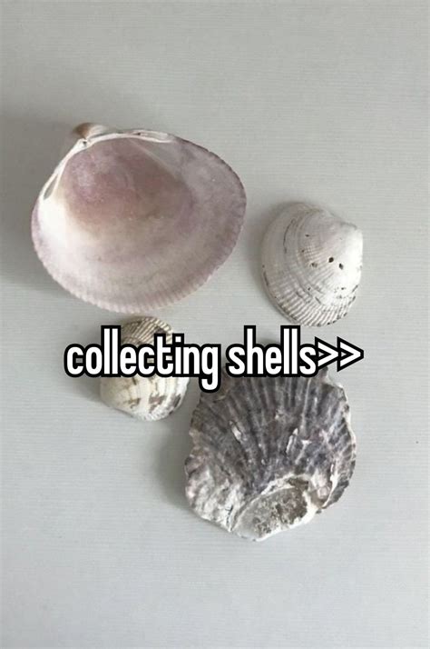 Sea Shells Collecting 的图像结果