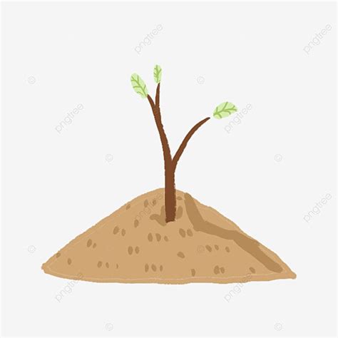 Image result for Sapling Transparent