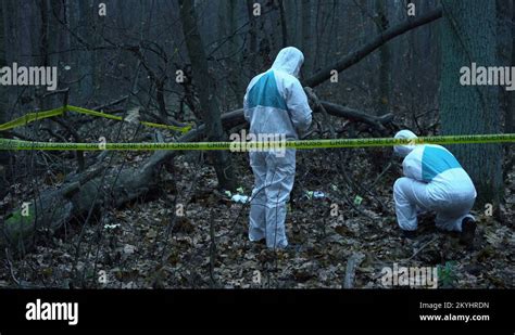 Forensic Science 的图像结果