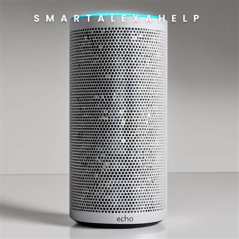 Image result for Echo Troubleshooting Guide