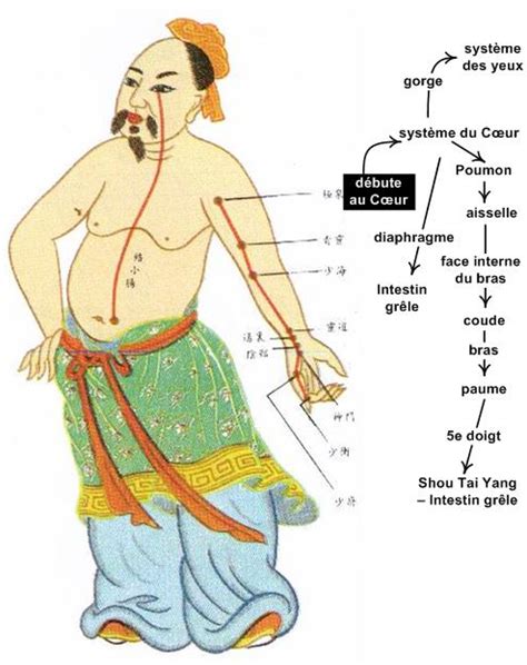 Meridiano do Intestino Grosso - Shou Yang Ming Da Chang Jing