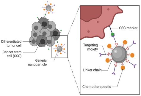 Nanotheranostics: Platforms, Current Applications, and Mechanisms of ...