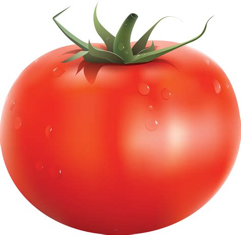 Tomato PNG transparent image download, size: 3531x3451px