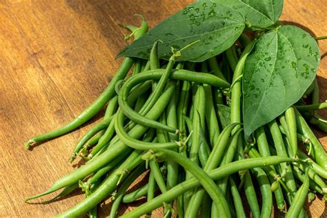 Image result for Green String Beans