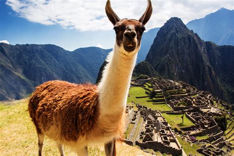 Natural Remedies for Altitude Sickness (Prevent and Treat) - I Travel There