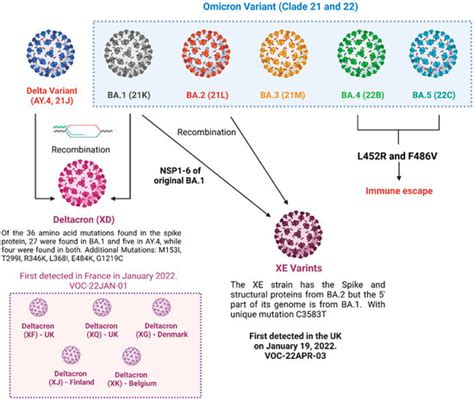 The Emergence of Hybrid Variants of SARS-CoV-2: Towards Hybrid Immunity