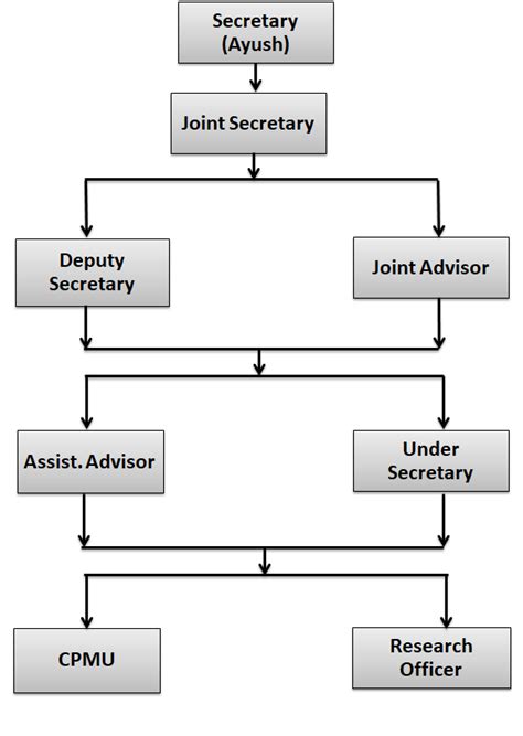 Organizational Structure | National AYUSH Mission (NAM)