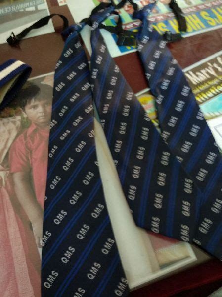 School Zip Ties Manufacturer, Supplier from Delhi