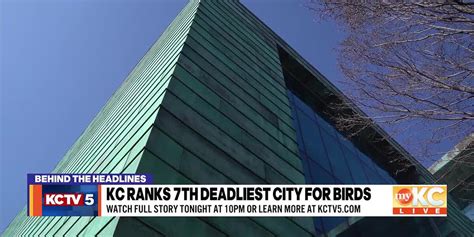 Behind the Headlines: KC ranks 7th deadliest city in US for birds