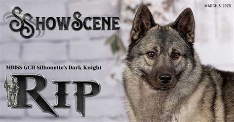 March 4th, 2025 – ShowScene