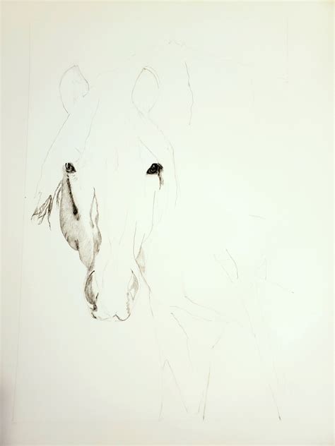 Image result for Buck Drawing Tutorial