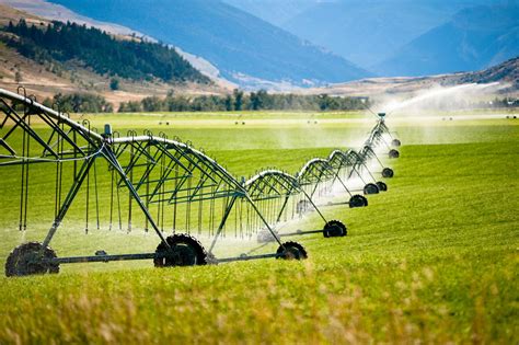 Improving water-efficient irrigation: Prospects and difficulties of ...