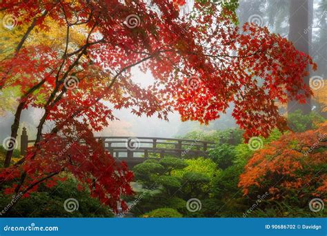 Image result for Step by Step Krushkal Algorithm Example