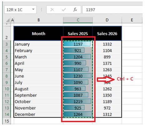 Image result for Excel Copy Conditional Formatting
