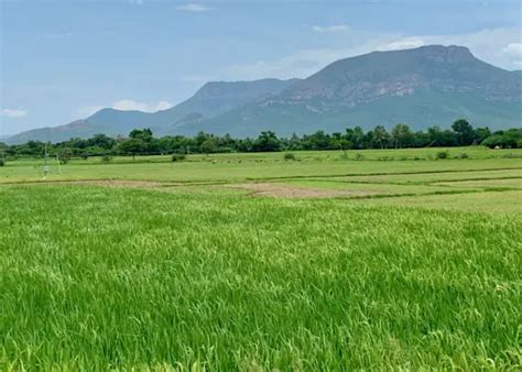 Andhra Pradesh State Tourism: Ultimate Travel Guide & Tour Packages ...