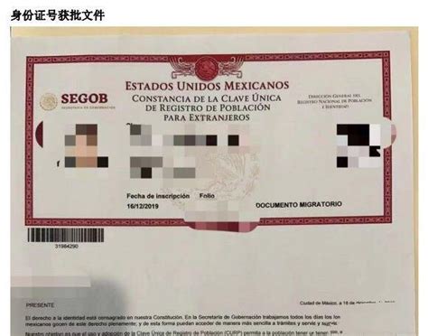 墨西哥護照如何辨別真偽？ - 每日頭條