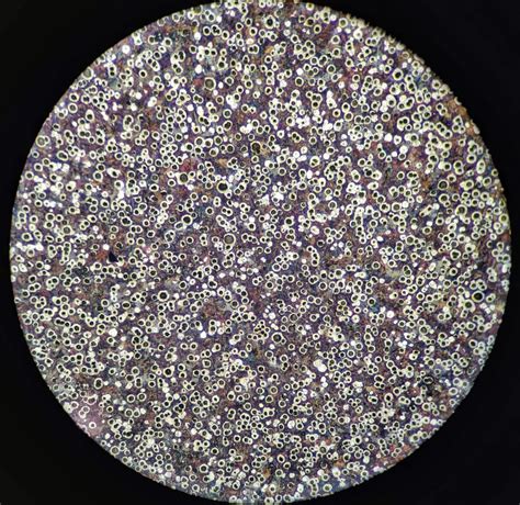 Image result for Engineering Science Microstructure of Metals