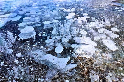 Abraham Lake Ice Bubbles and Peyto Lake Adventure Tour in Banff - Klook ...
