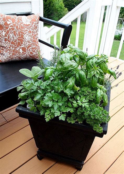 Vertical Container Garden Herbs