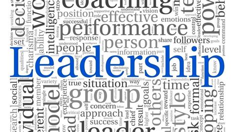 Leader Image Professiona 的图像结果