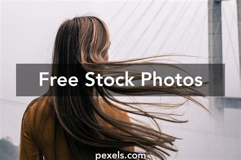 Image result for Bridge Elements Explained