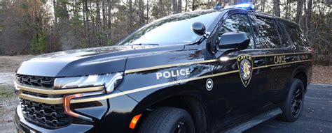 Obituaries In Lexington - South Carolina - It is with deep sorrow that ...