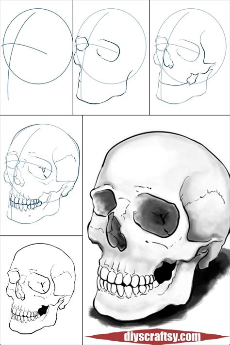 Image result for Skull Drawing Tutorial