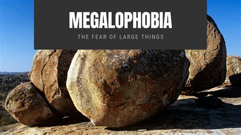 What's The Fear Of Big Things at Laura Hefley blog